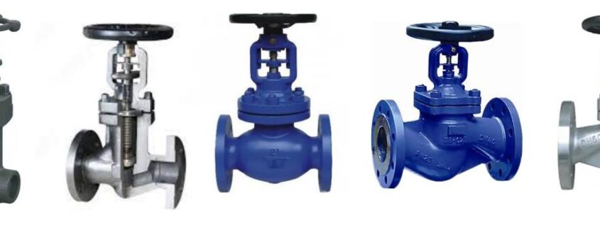 bellow globe valve