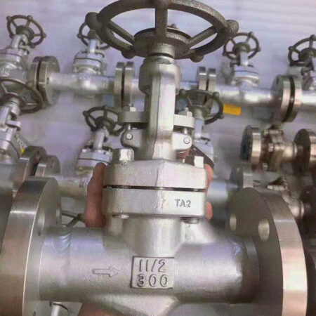 Titanium Alloy TA2 Forged Globe Valve