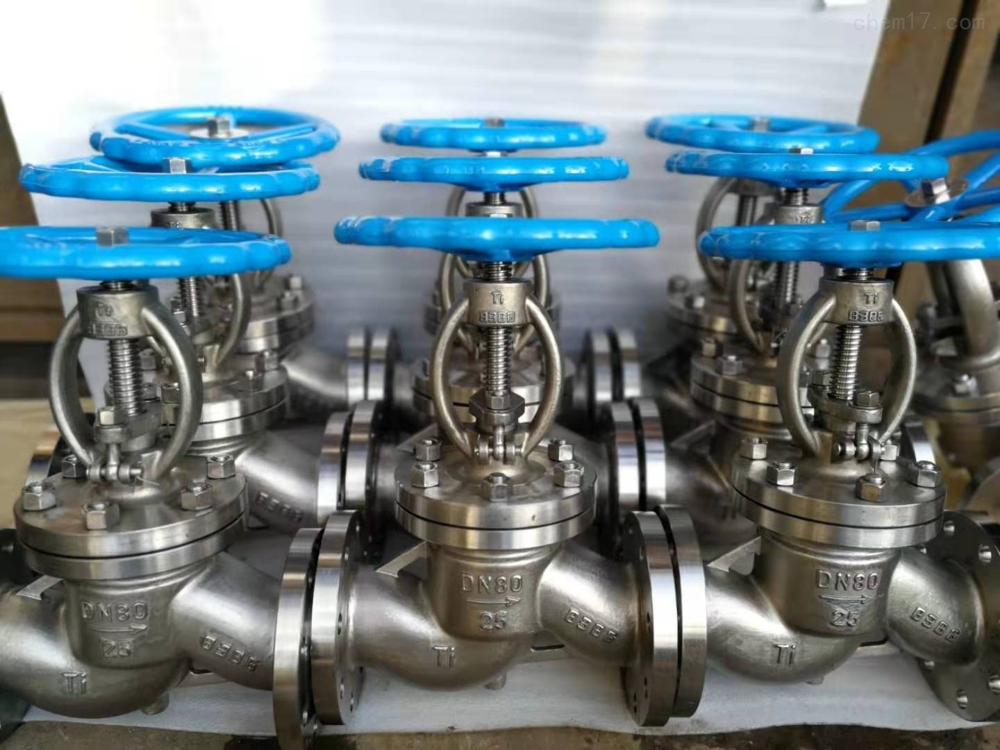 titanium globe valve