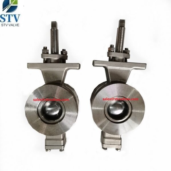 316 Wafer Segment Ball Valve,PN25,DN50 - immagine 3