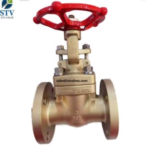 C95800 Gate Valve Manufacturer