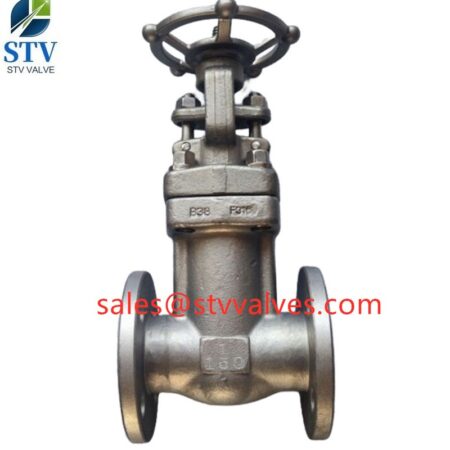 China F316 Bellows Seal Gate Valve Manufacturer