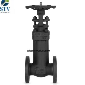 China Forged Steel Bellow Seal Globe Valve