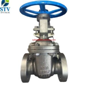 China 2207 Gate Valve Manufacture