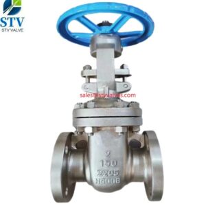 2505 Gate Valve