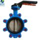 Cast Iron Lug Type Butterfly Valve