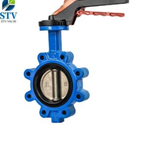 DI Lug Type Butterfly Valve