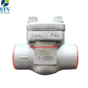 F904L Lift Check Valve