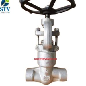 2500lb High Pressure Globe Valve