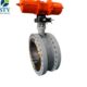 Triple Eccentric Butterfly Valve