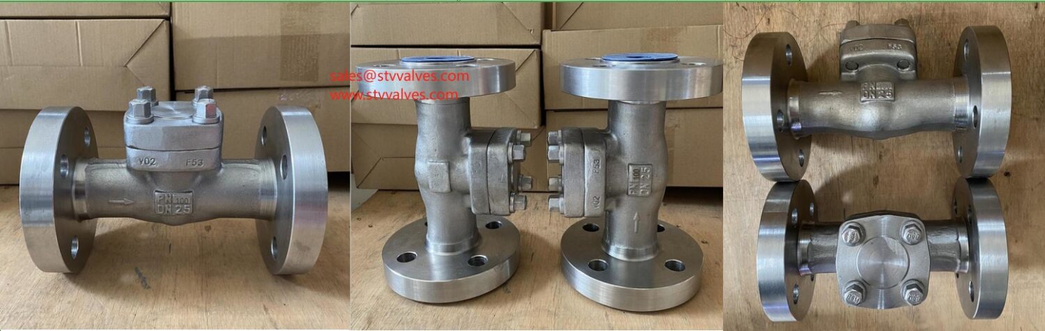 ASTM A182 F53 Check Valve