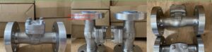 ASTM A182 F53 Check Valve