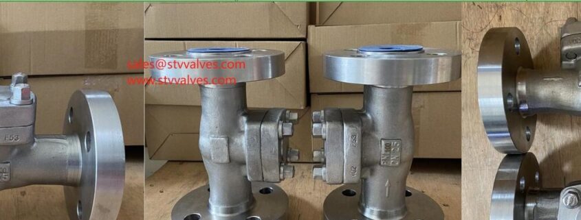 ASTM A182 F53 Check Valve