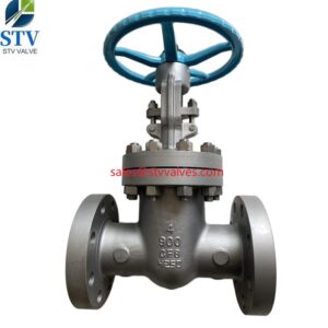 ASTM A351 CF8 Gate Valve