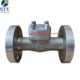 F53 Swing Check Valve