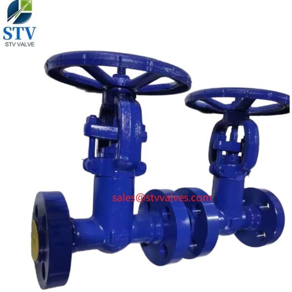 2500LB Forged Steel Gate Valve in china