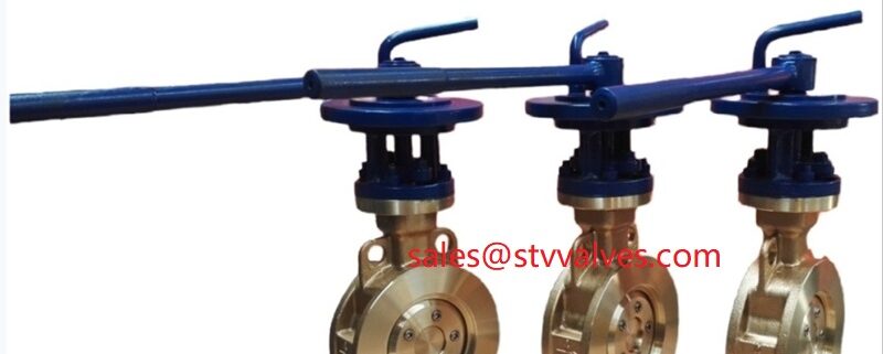 4 Inch Wafer Butterfly Valve in china