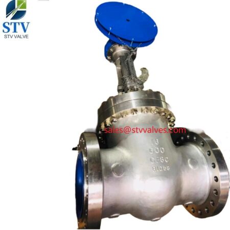 China 600LB CF8C Gate Valve