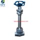 China Extension Stem Forged Gate Valve Manufacture