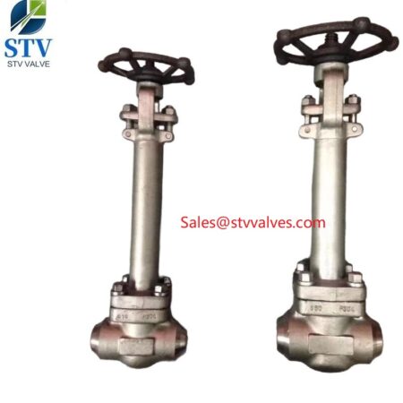 China Extension Stem Forged Steel Globe Valve