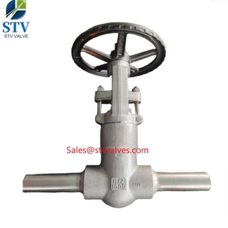 China F321 Gate Valve Manufacture