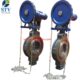 China Chain Operator Butterfly Valve