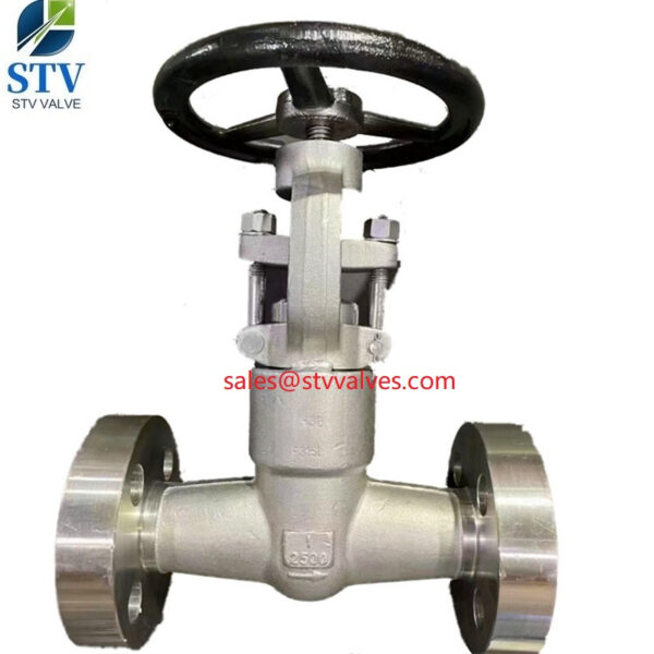 China F316L Forged Gate Valve Manufacture