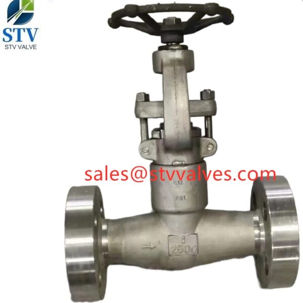 China F51 Forged Gate Valve