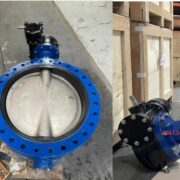 API 609 Wafer Butterfly Valve In china