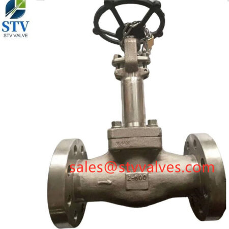 China B564 N04400 Globe Valve Manufacture