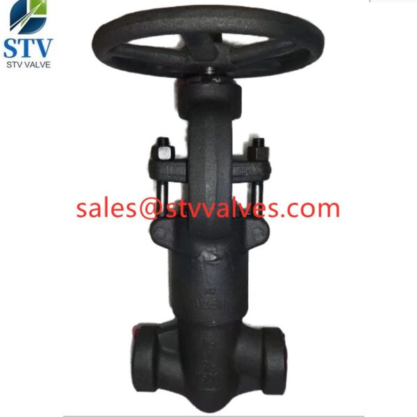 China A105N Pressure Seal Globe Valve Manufacture