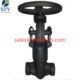 China A105N Pressure Seal Globe Valve Manufacture