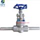 A182 F51 Gate Valve