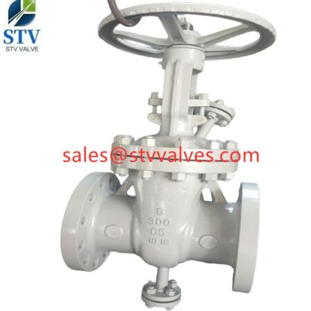 A217 C5 Gate Valve In china