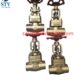 China 150LB C95800 Gate Valve Manufacture