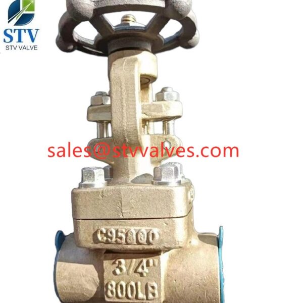 ASTM B148 C95800 Globe Valve In china