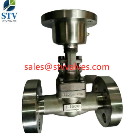 Bare Stem Forged Globe Valve in china