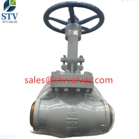 Butt weld Globe Valve In china