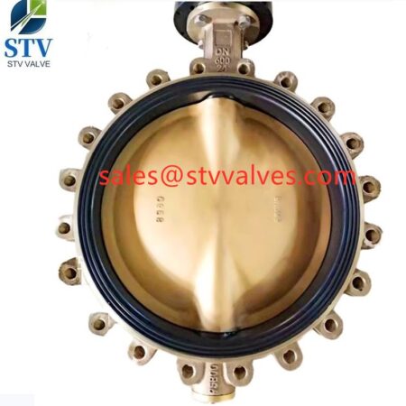 C95800 Lug Type Butterfly Valve in China