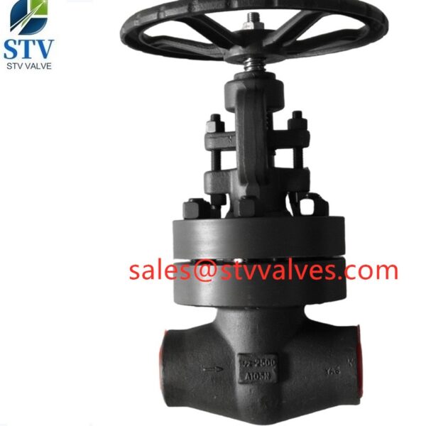 China Class 2500 Gate Valve