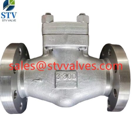 China F316 Swing Check Valve Manufacture