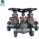 China F51 Forged Globe Valve Manufacture