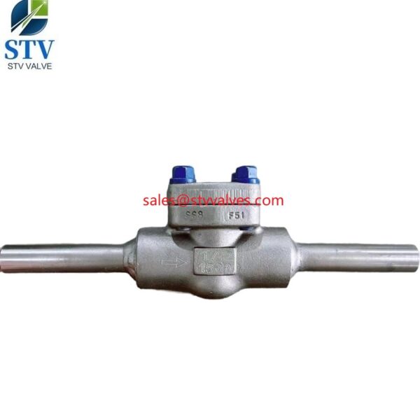 China F51 Piston Check Valve