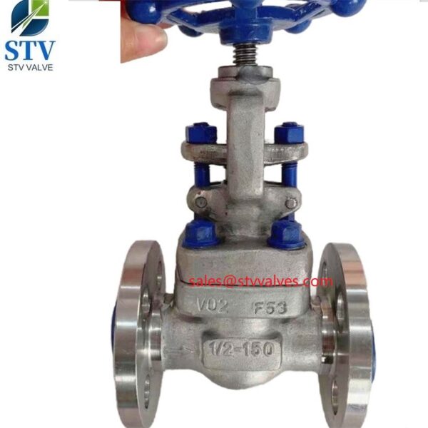 China F53 Forged Gate Valve