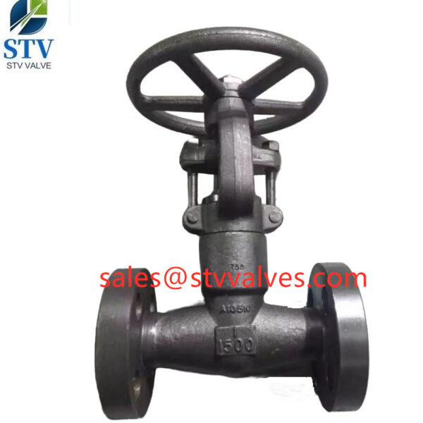 China Integral Flanged Globe Valve Manufacture