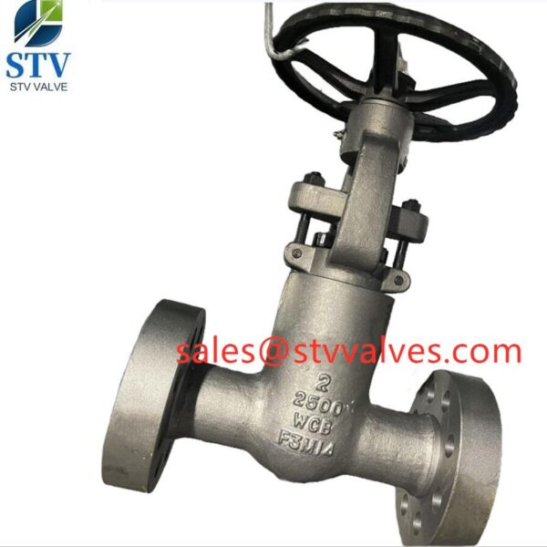 China 2500lb Pressure Seal Gate Valve