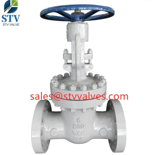 900LB CAST STEEL GATE VALVE