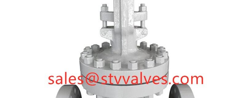900LB CAST STEEL GATE VALVE