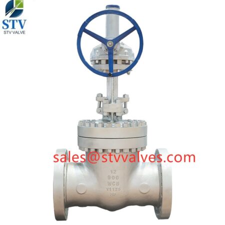 China 900LB Cast Steel Gate Valve