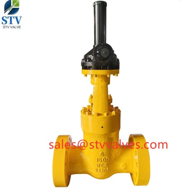 China API600 Pressure Seal Bonnet Gate Valve